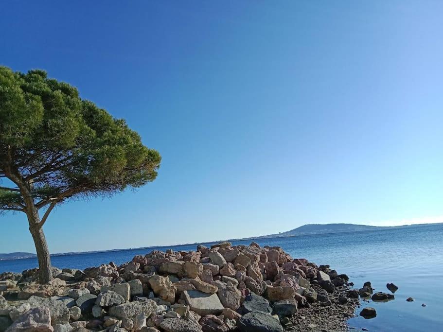 L'Astre Villa Loupian Eksteriør billede